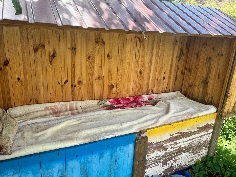 Апідомік\Апілежак сон на вулику