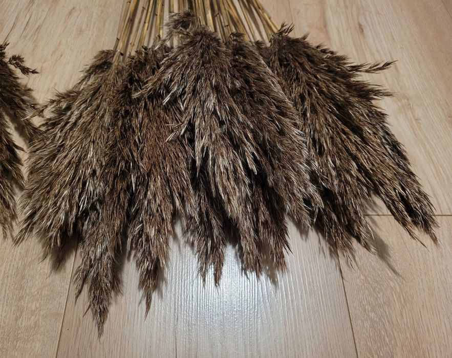 suszone kwiaty trawy do dekoracji wianków stroików palm *