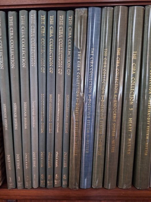 4 livros Netter de anatomia e fisiologia