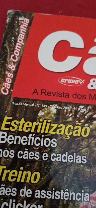 Cães & Companhia de 2009
