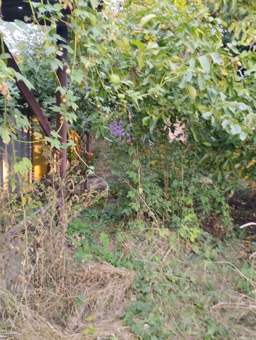 Продам 2-кімнатний будинок, Основ'янський, Харків фото 2