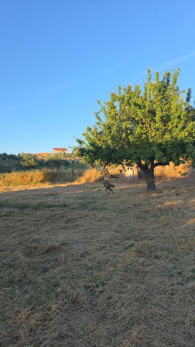 Terreno com 6.000 m² para venda – Excelente oportunidade Eivados/Mirandela
