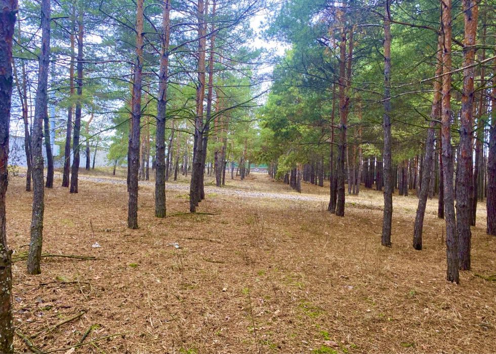 ВЛАСНИК‼️‼️Ділянка в лісі з виходом на воду + 50 кВт