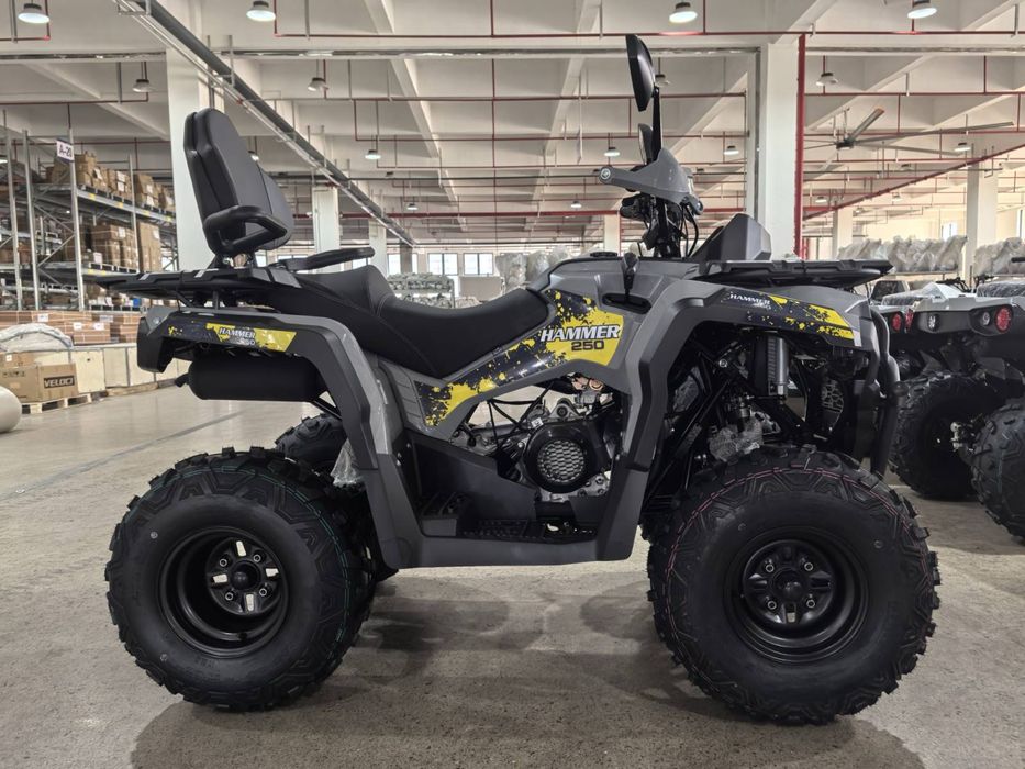Квадроцикл Mikilon Hammer 250 L Pro