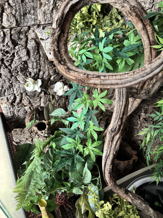 Terrarium 120 agama legwan kameleon bazyliszek