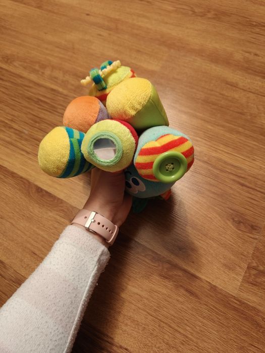 Ośmiornica sensoryczna