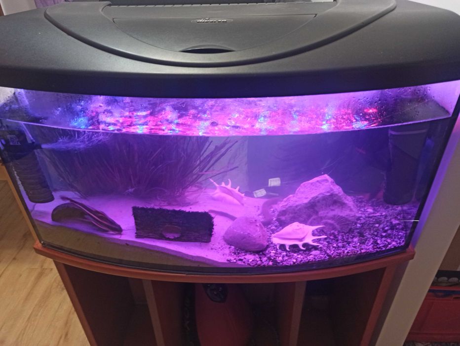 Sprzedam akwarium 112 l panorama