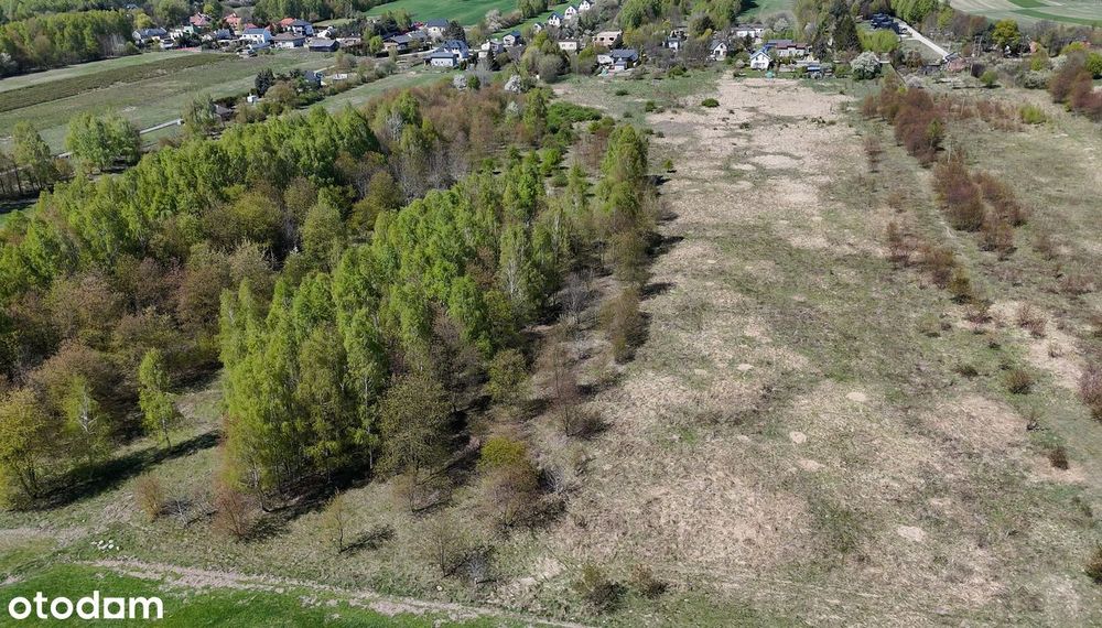 8 279 m² w zielonej okolicy :) - Widok 5
