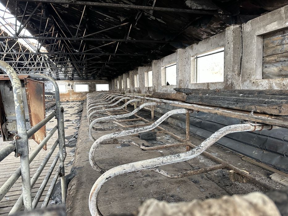 Agrafki pojedyncze na 25 miejsc, poskrom