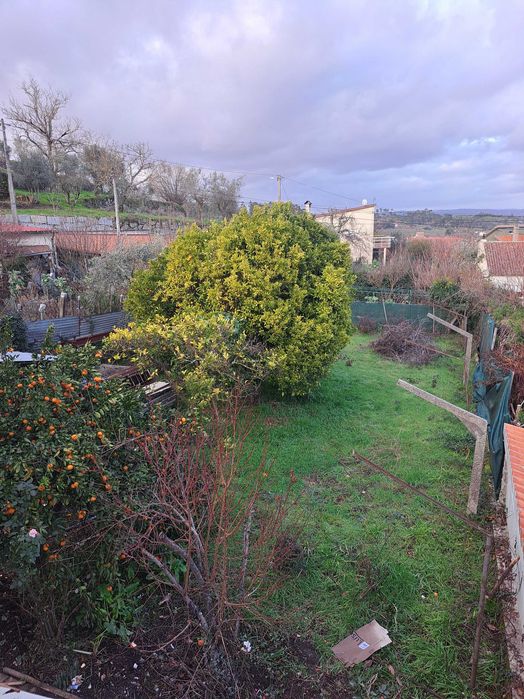 Apartamento T3 com Garagem e Quintal