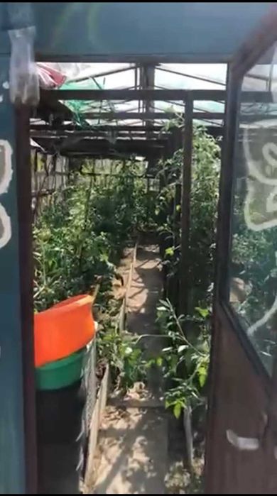 (3) Продам дачу будинок в с. Сальник Калинівський р-н 4945