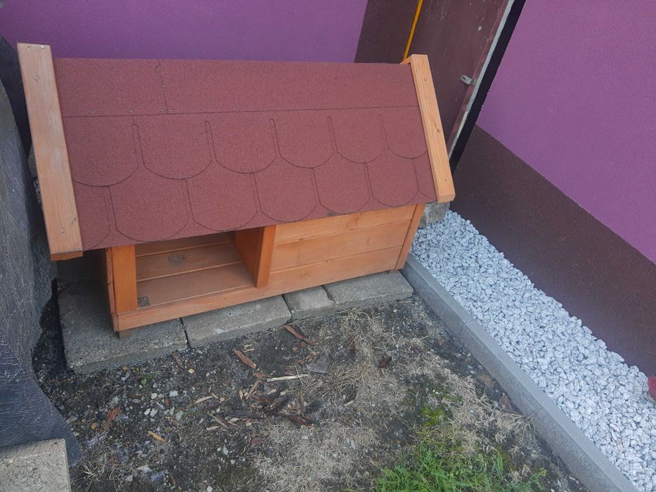 Buda "M" (mała) dla Beagle