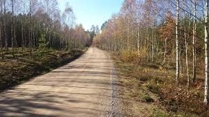 Budowa dróg dojazdowych, leśnych, budowa wjazdów zjazdów z drogi