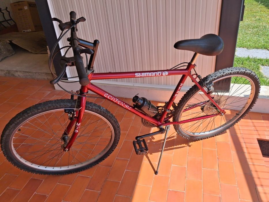 Bicicleta adulto