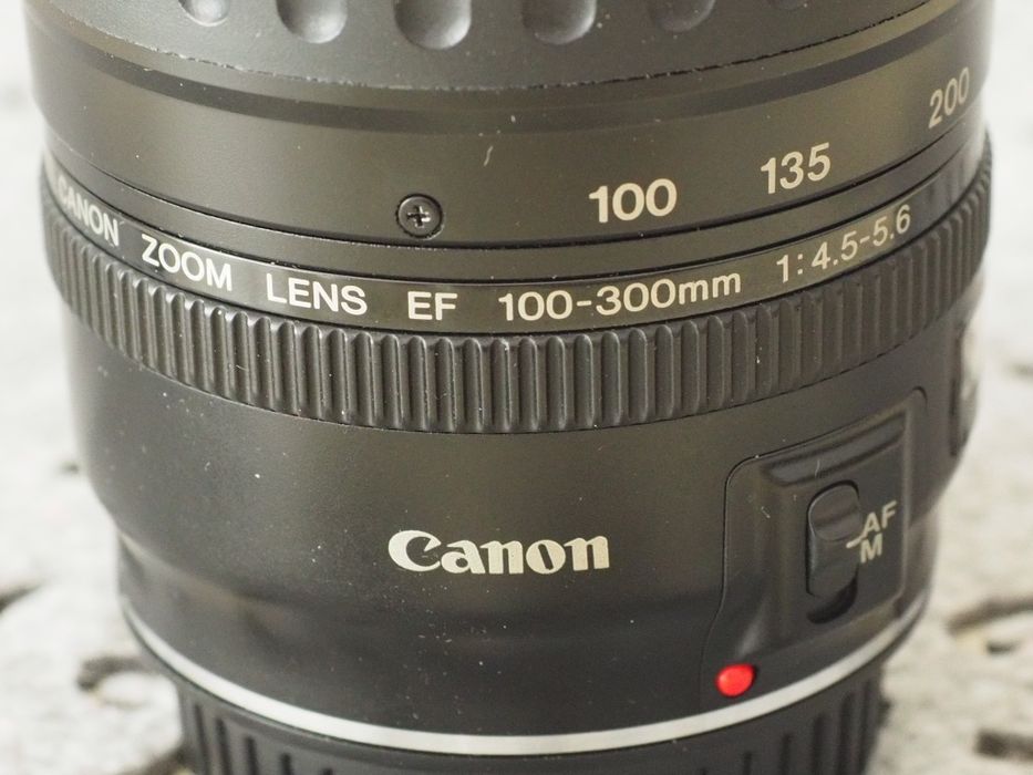 Canon EF 100-300 mm f/4.5-5.6 USM