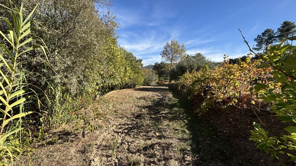 Terreno / Quinta no Freixial - Fundão