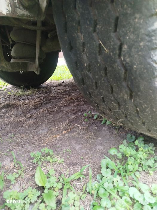 Benalu 2005 року