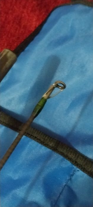 Спиннинг Daiwa Saltist под джерки, и крупный силикон