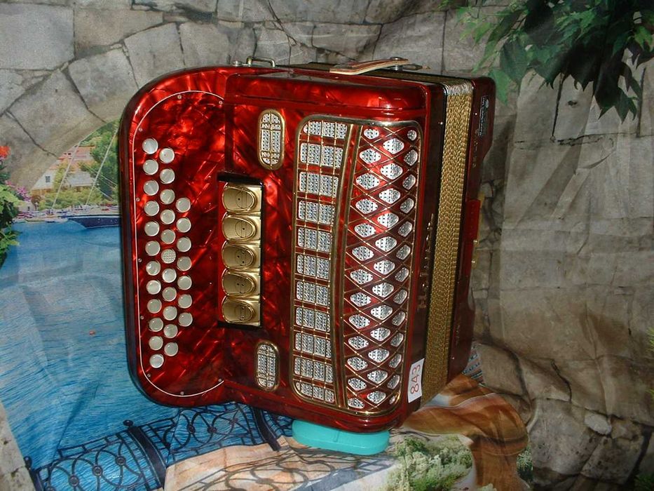 Concertina para venda N, 843