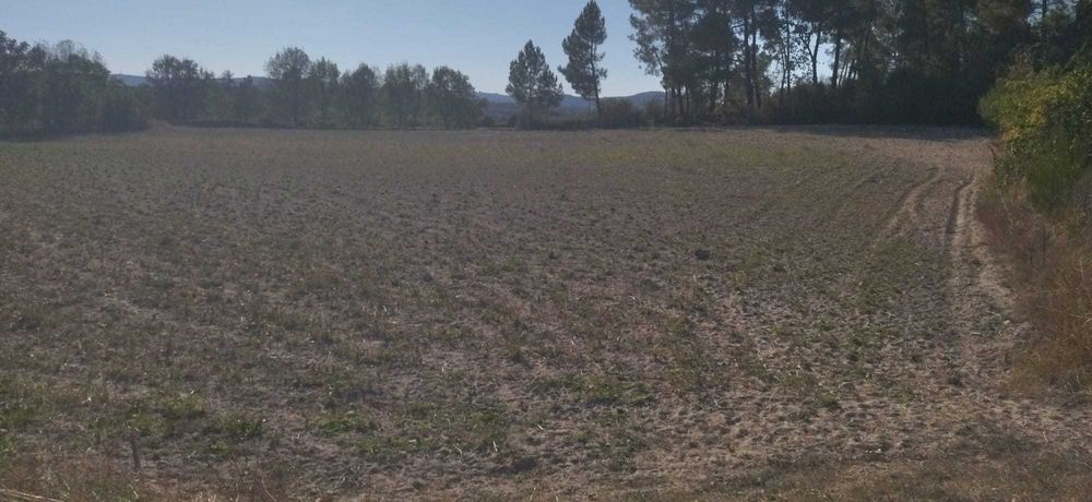 Terreno agricola