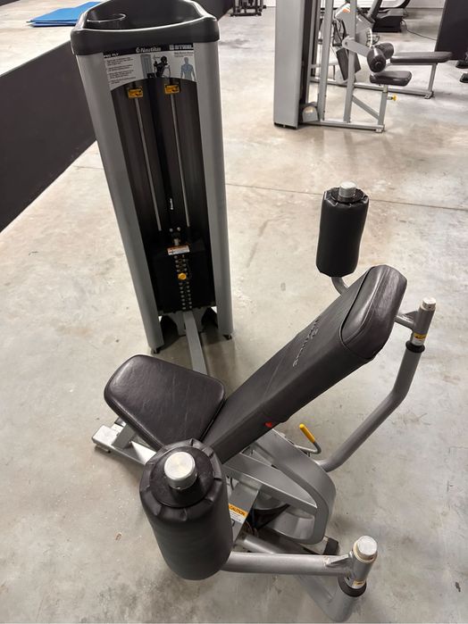 Peck Fly Nautilus Steel