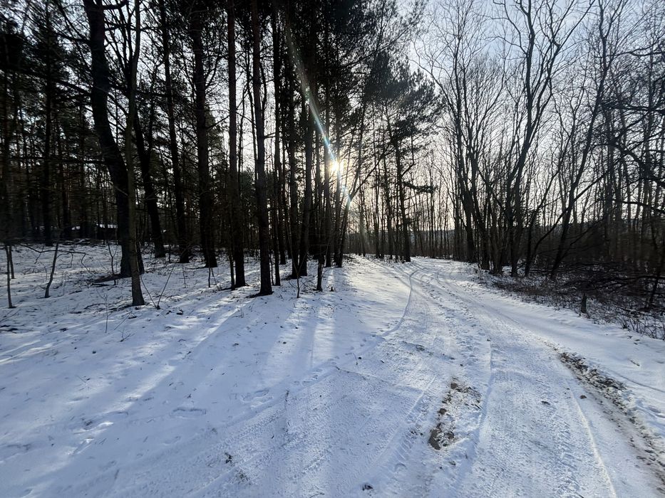 Dzialki Cieszanowice na sprzedaż