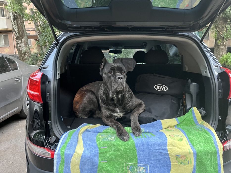 Перевезення тварин