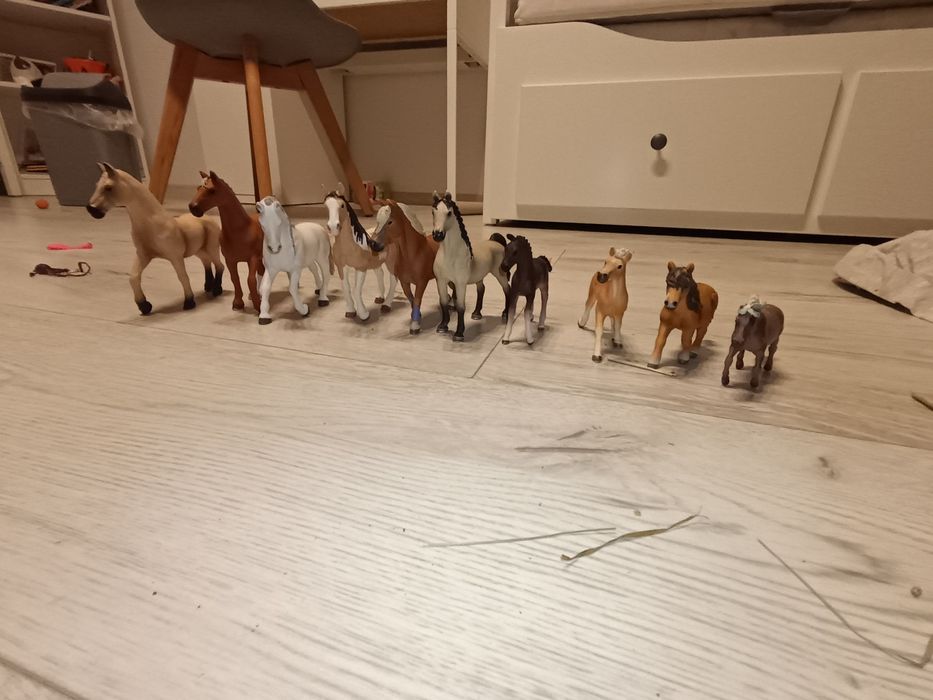 PILNIE sprzedam koniki