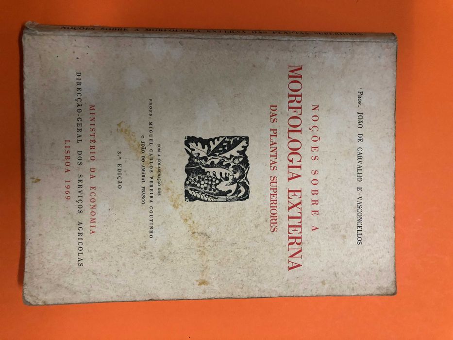 Noções sobre a morfologia externa das plantas superiores