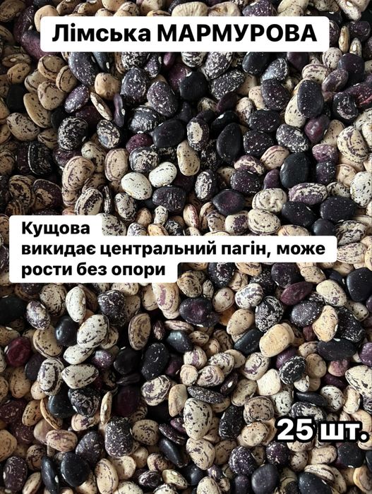Квасоля лімська кущова