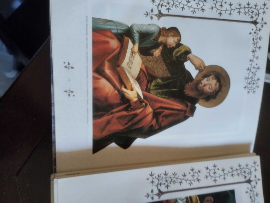 Bíblia Sagrada Novo Testamento ilustrado