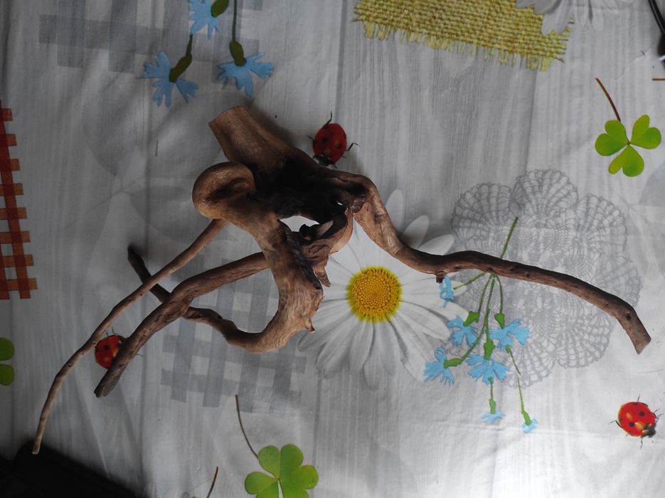 Всё для аквариума