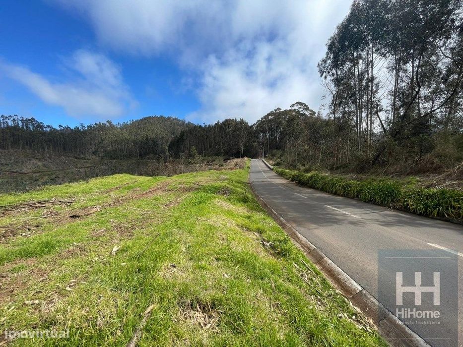 Terreno Rústico com 36.312 m2 no Campanário, Ribeira Brava