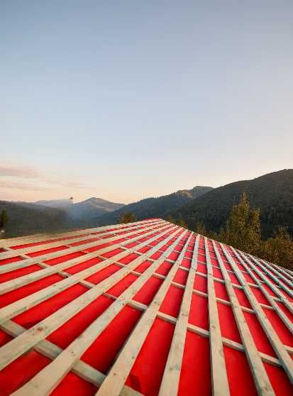 Rynny, papy, naprawa dachu, malowanie, Śniegołapy, Dekarz , Dekarstwo