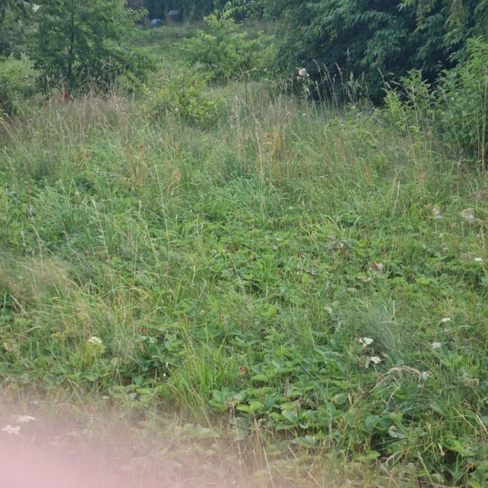 Działka budowlana uzbrojona Nowy Klincz 1016 M2 - Widok 3