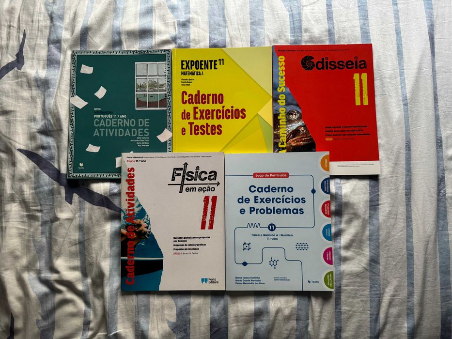 Cadernos de atividades de 11ºAno