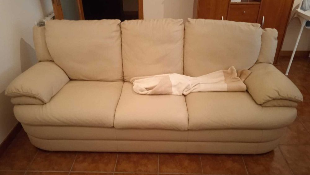 Sofá de Sala em Pele