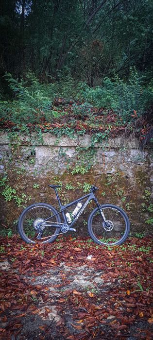 Specialized epic world cup expert