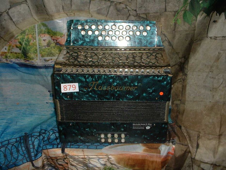 Concertina para venda N, 879 Penedono • OLX Portugal