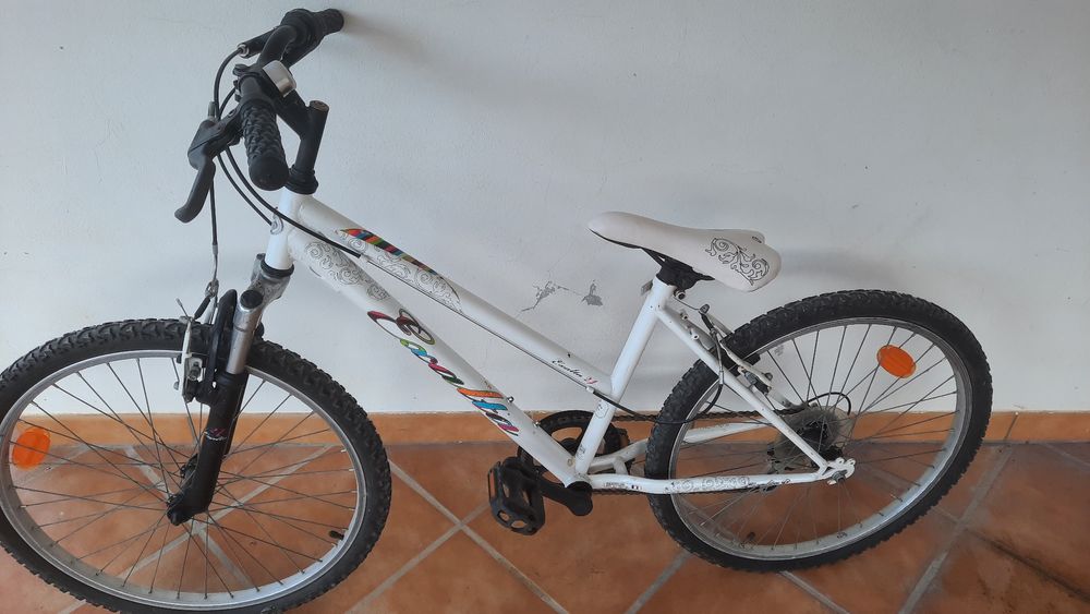 Bicicleta esmalta 24