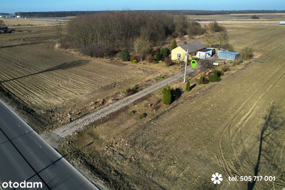 Siedlisko na Kujawach. Działka 6408 m2, blisko Włocławka