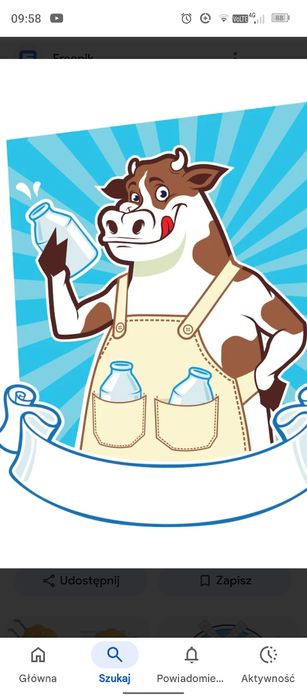 Dojarka SAC   likwidacja stada byczek