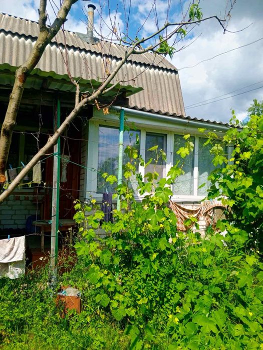Продається дача в Барашівському масиві (Житловик)