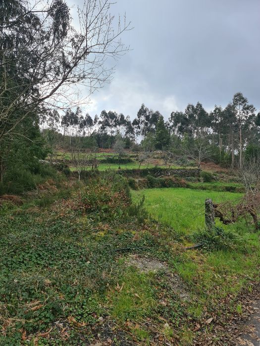 Quinta Agrícola a 5 minutos da A25