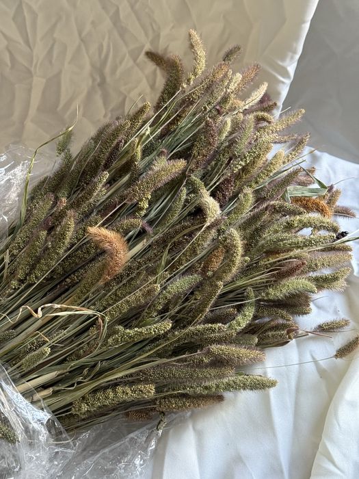 Сухоцвіти льон пшениця