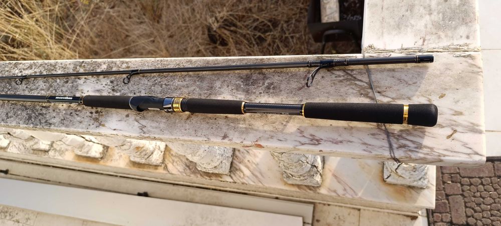 Cana Spinning Daiwa Morethan AGS 107MH Arroios • OLX.pt