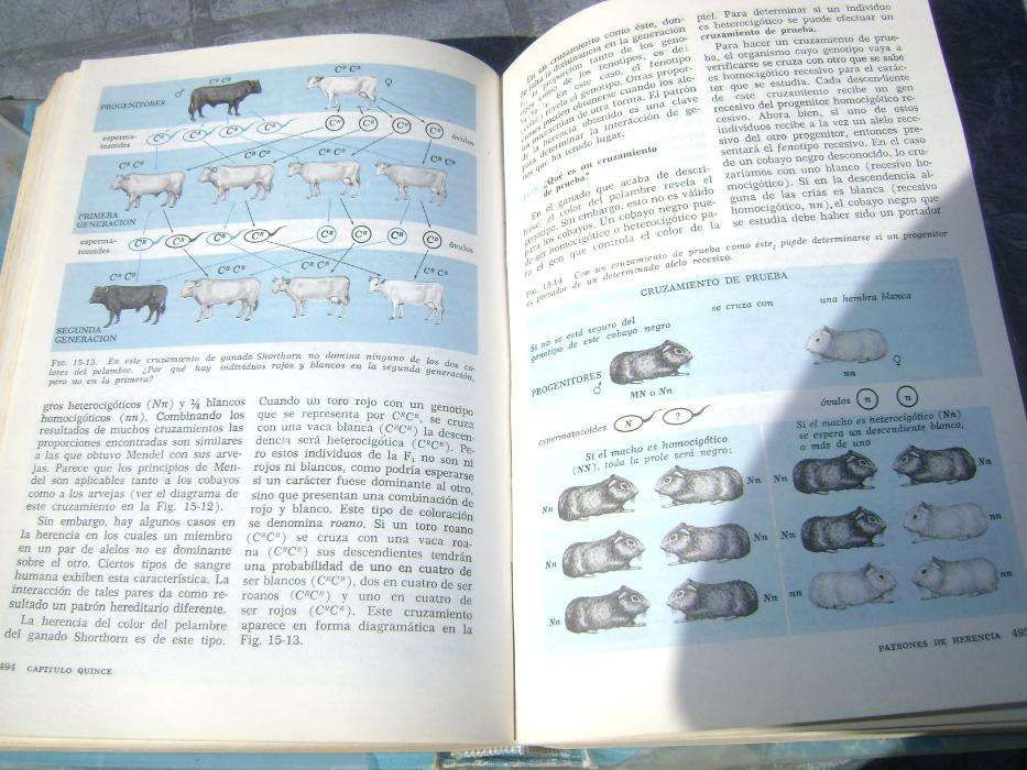 Livro manual enciclopedia em espanhol ciência biológicas