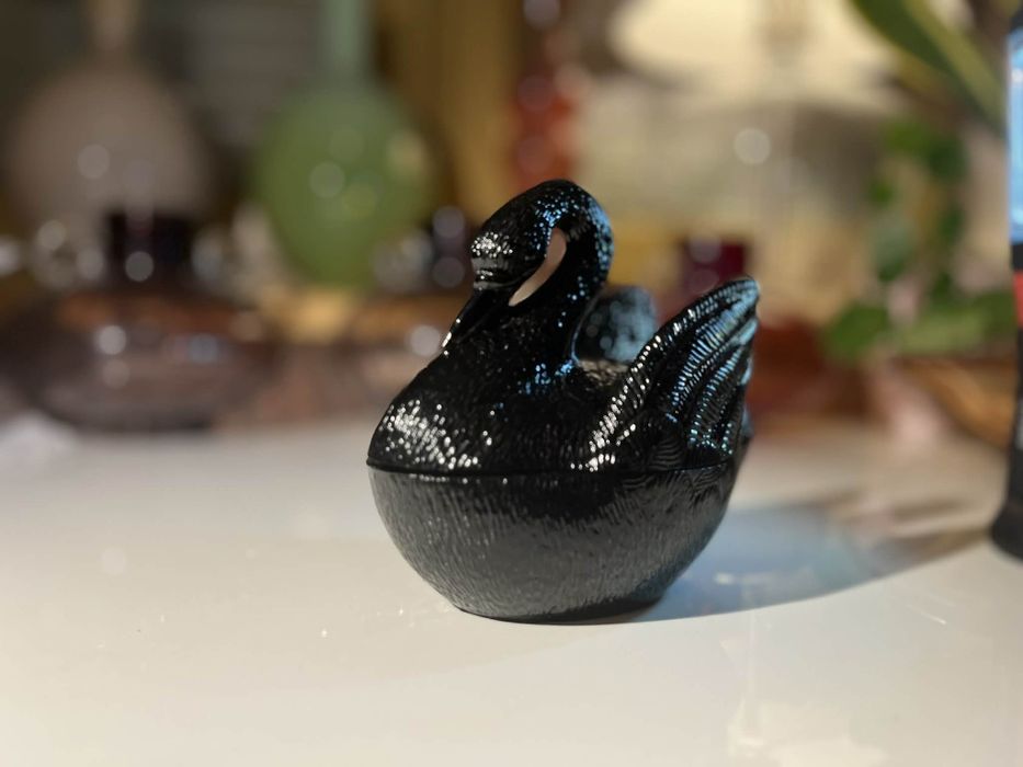 Łabędź ząbkowice