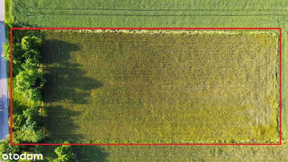 Prąd, woda, kanalizacja! Opcja podziału! 81m x 37m! BUDOWLANA !!