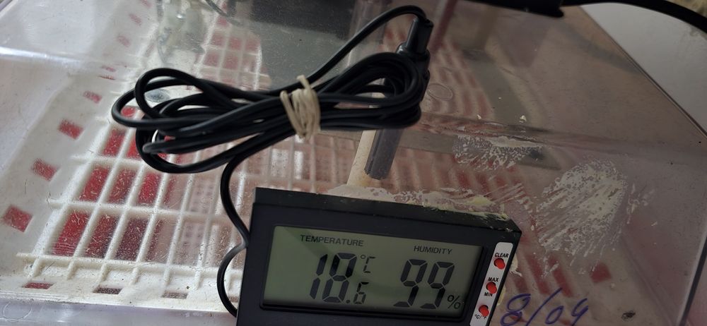 Chocadeira automática